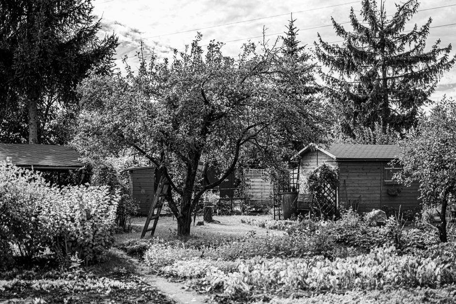 Abri de jardin : préparer le sol, choisir la dalle et éviter les erreurs fréquentes