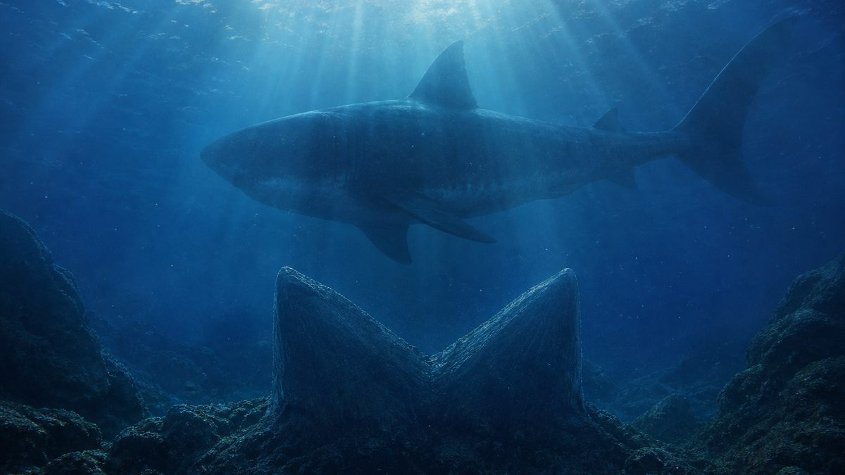 Le mégalodon existe-t-il encore ?